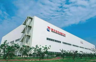 產能過剩與戰略收縮 神龍關廠裁員，PSA在華萌生退意